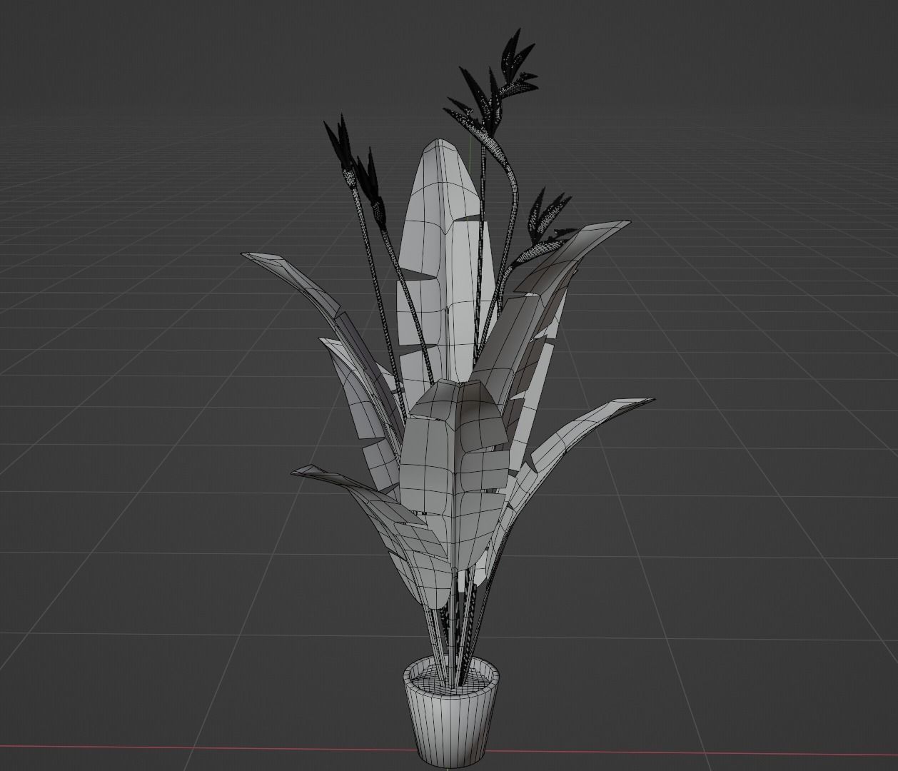 Bird of Paradise Plant 3D model_5