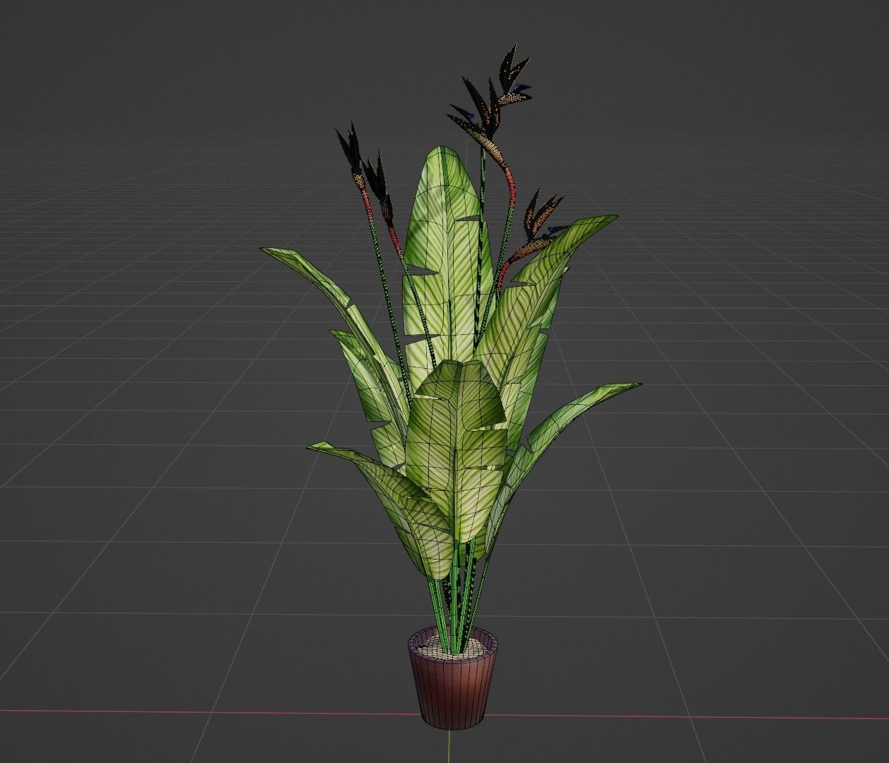 Bird of Paradise Plant 3D model_7