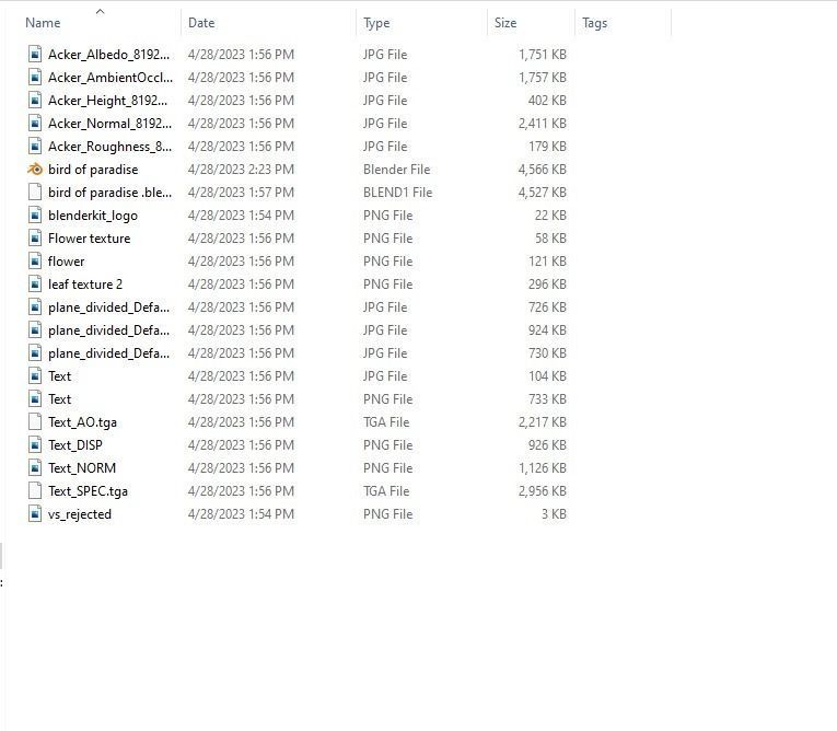 Bird of Paradise Plant 3D model_9