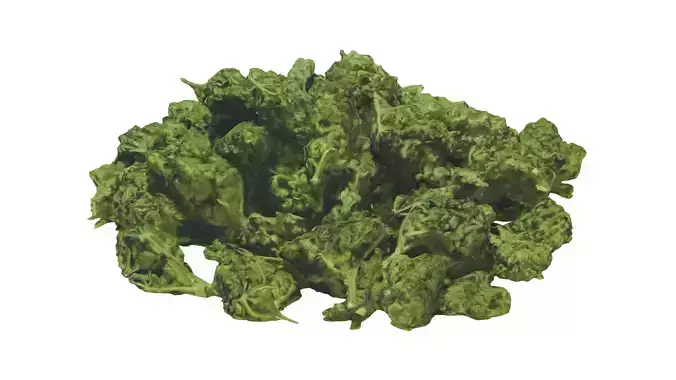 Cannabis Weed Plate Low-poly 3D model