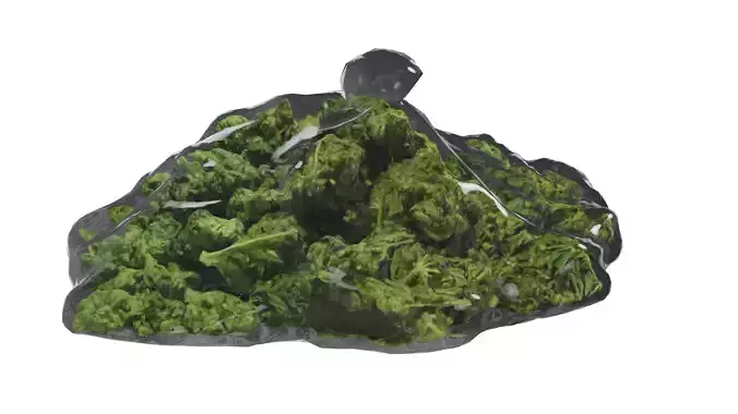 Cannabis Weed Pouch 3D model