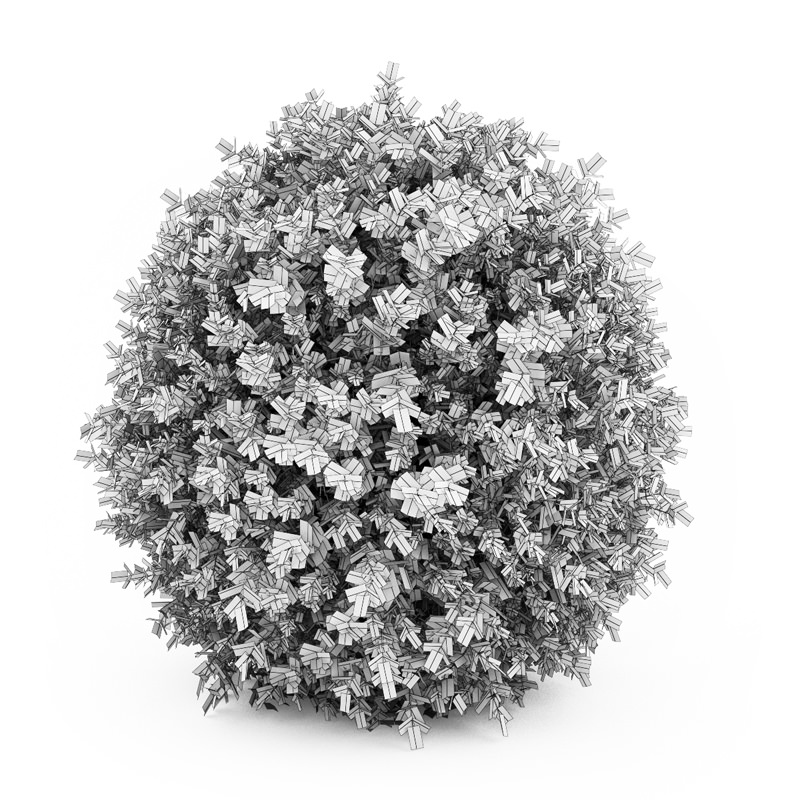 Dwarf English Boxwood 3D model_3