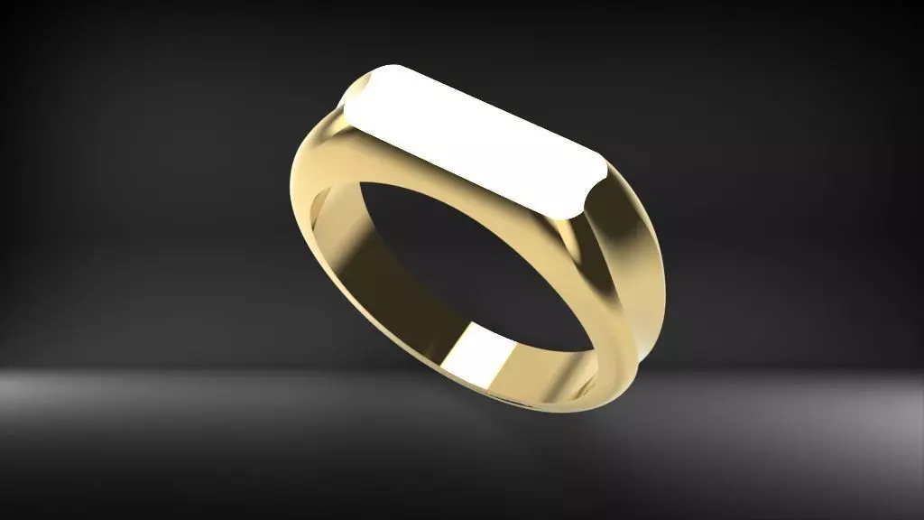 Signet Ring unisex  3D print model_0