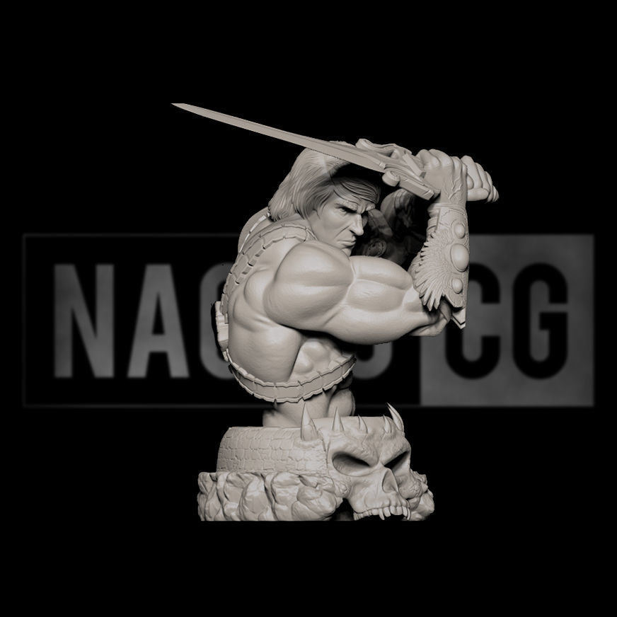 Fan Art - Masters of the Universe - He Man - Bust 3D print model_5