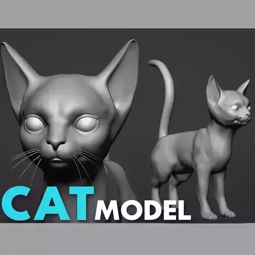 Cat Model