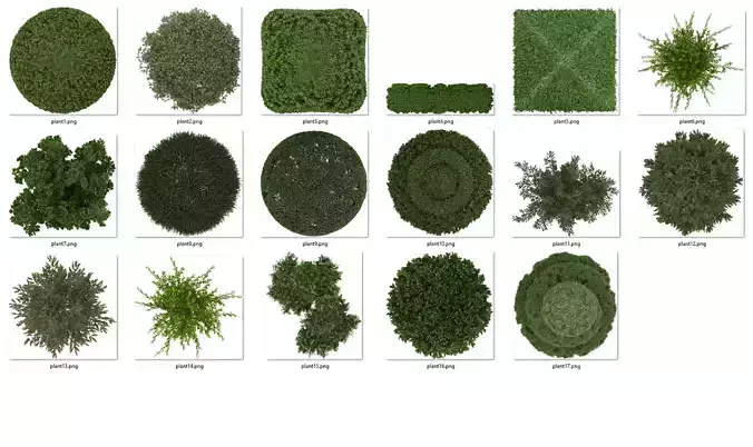 2D  Plants TopViews Collection 17 Layers PNG PSD PDF
