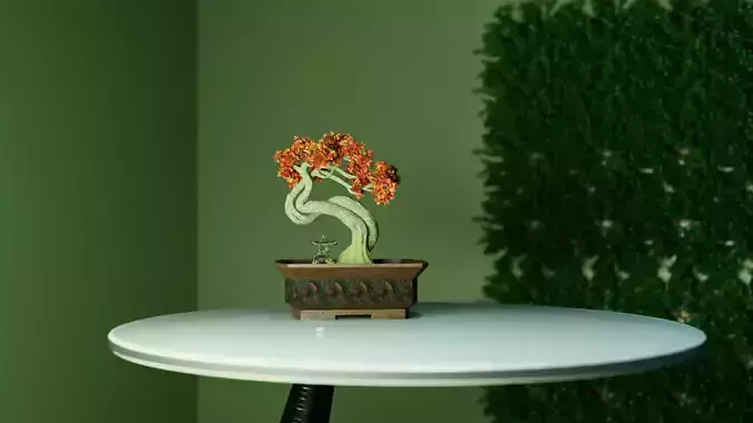 Pot for bonsai