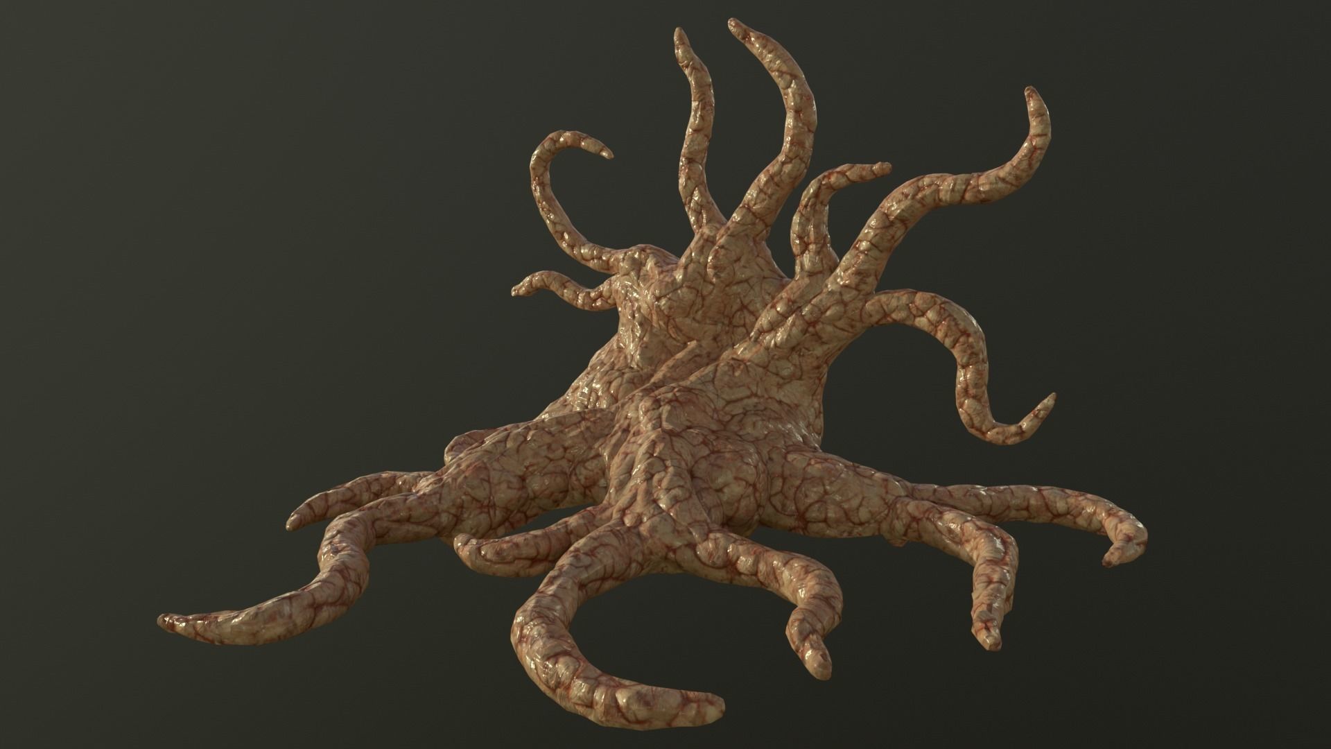 Horror organic tentacles Low-poly 3D model_3