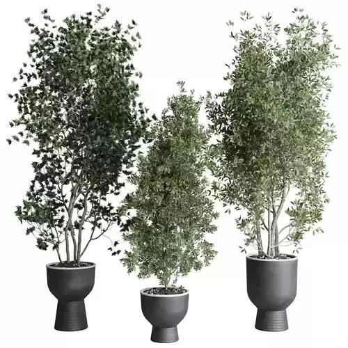 indoor plant set 380 tree bush concrete dirt vase