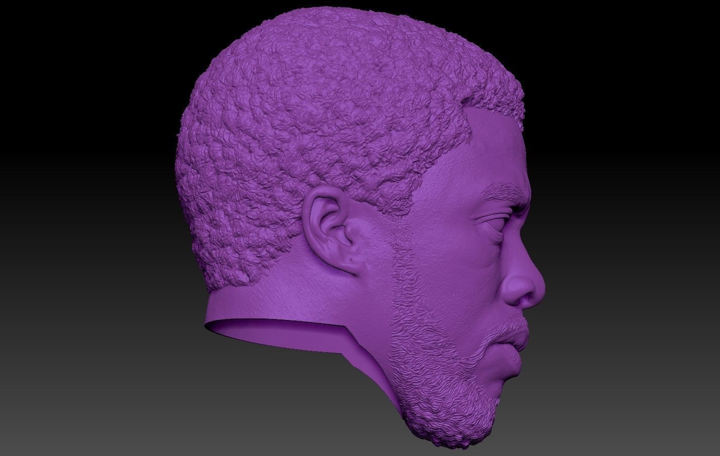 Black Panther TChalla Chadwick Boseman 3D print model_1