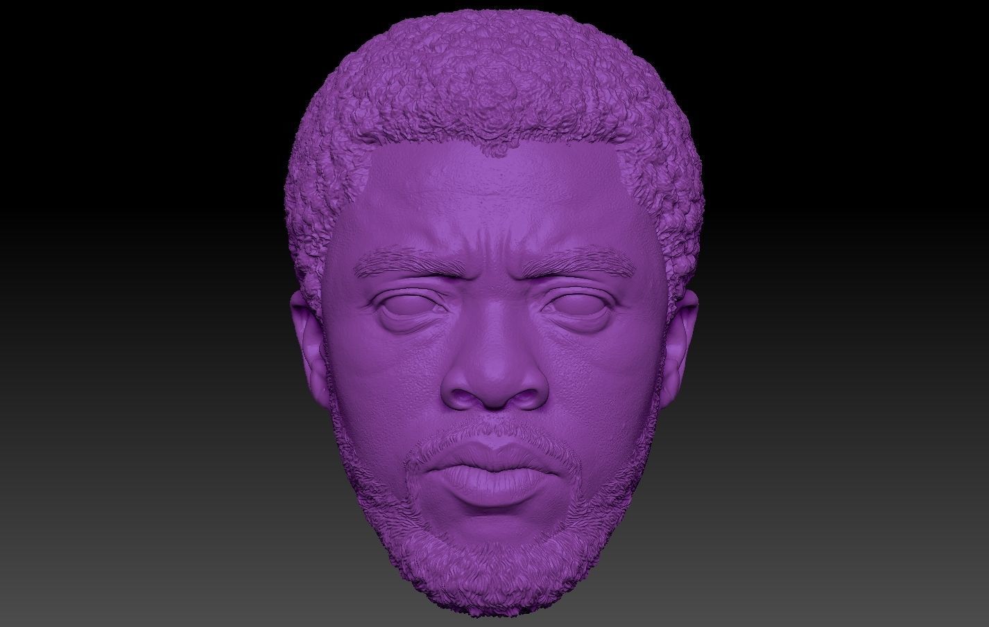 Black Panther TChalla Chadwick Boseman 3D print model_13