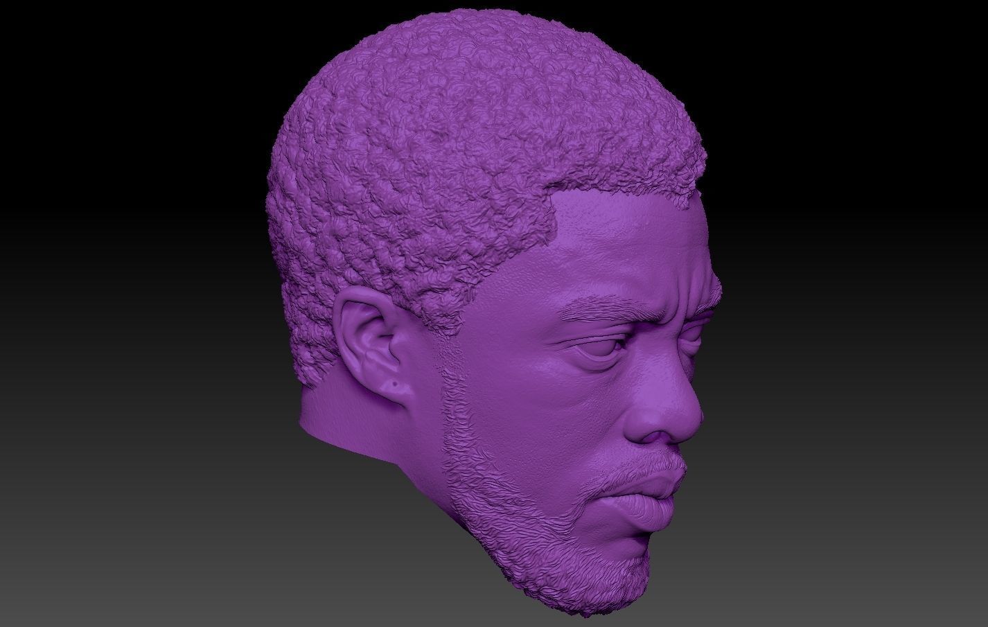Black Panther TChalla Chadwick Boseman 3D print model_8