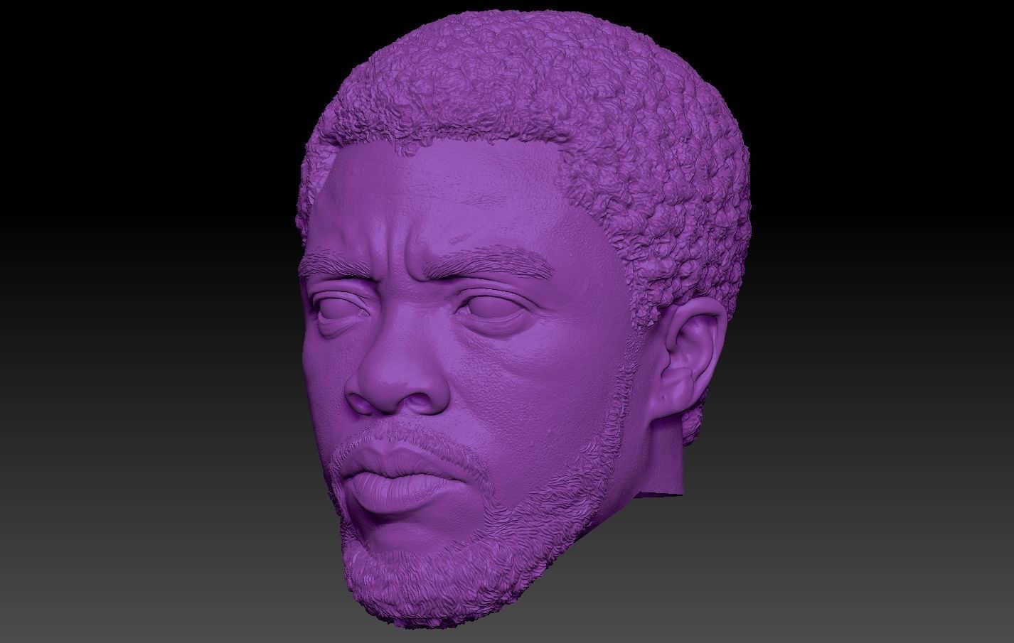 Black Panther TChalla Chadwick Boseman 3D print model_4