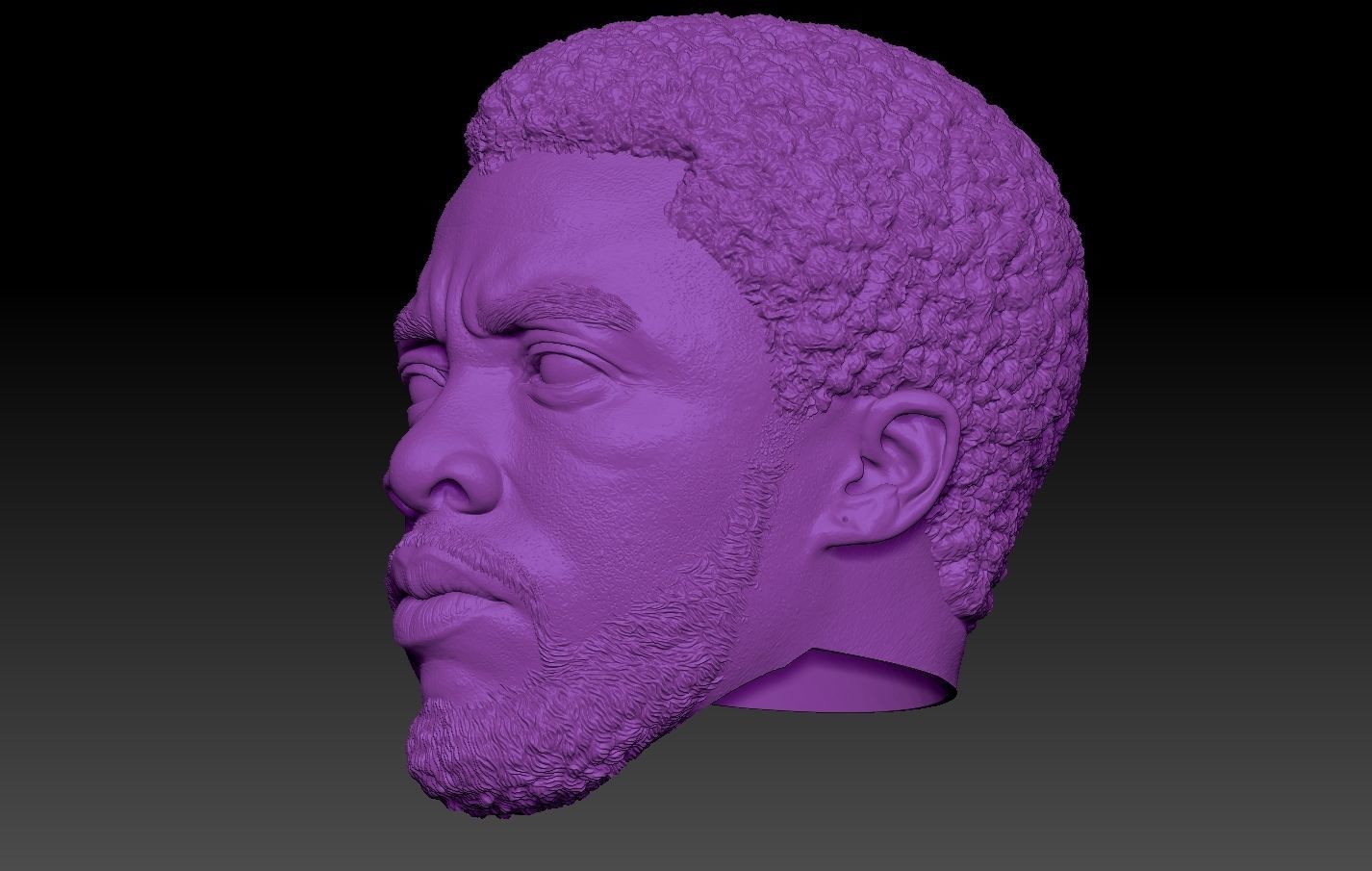 Black Panther TChalla Chadwick Boseman 3D print model_6