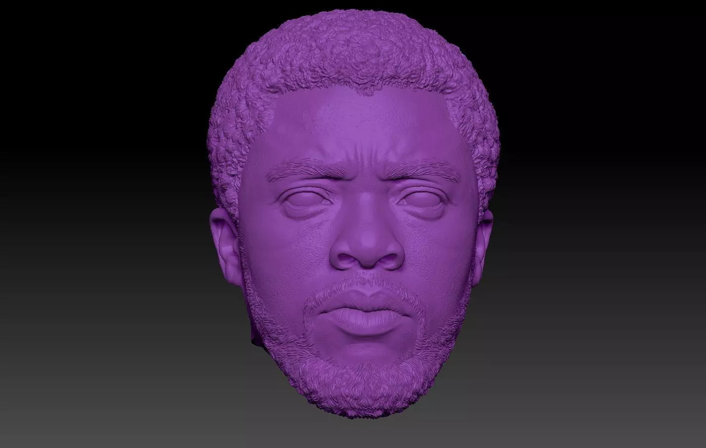 Black Panther TChalla Chadwick Boseman 3D print model_0
