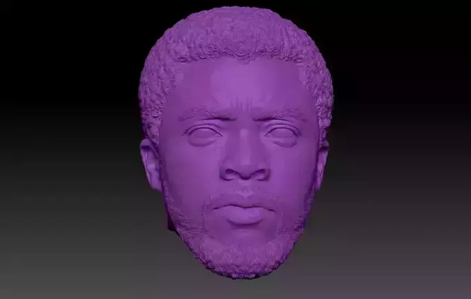 Black Panther TChalla Chadwick Boseman