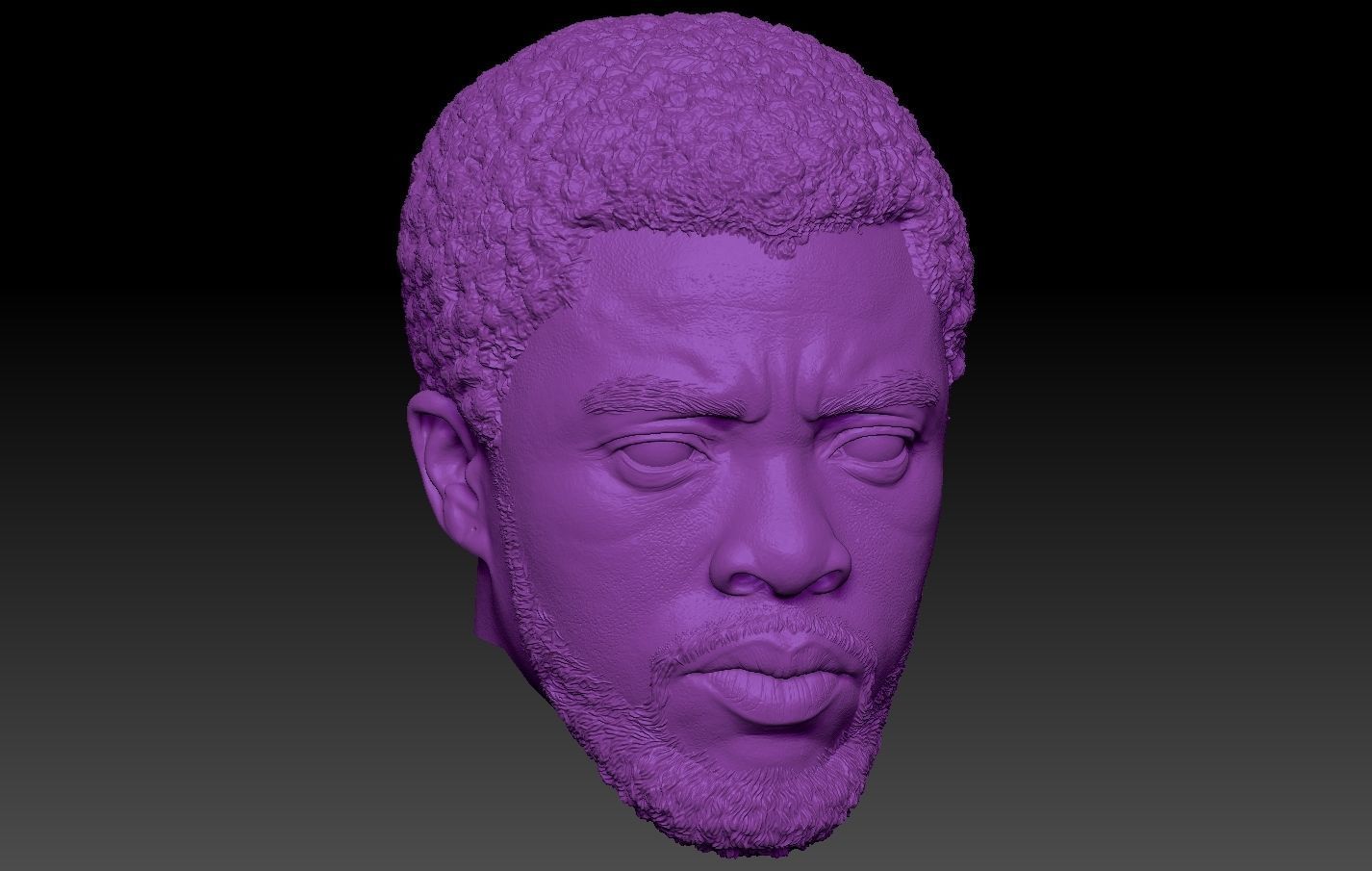 Black Panther TChalla Chadwick Boseman 3D print model_2