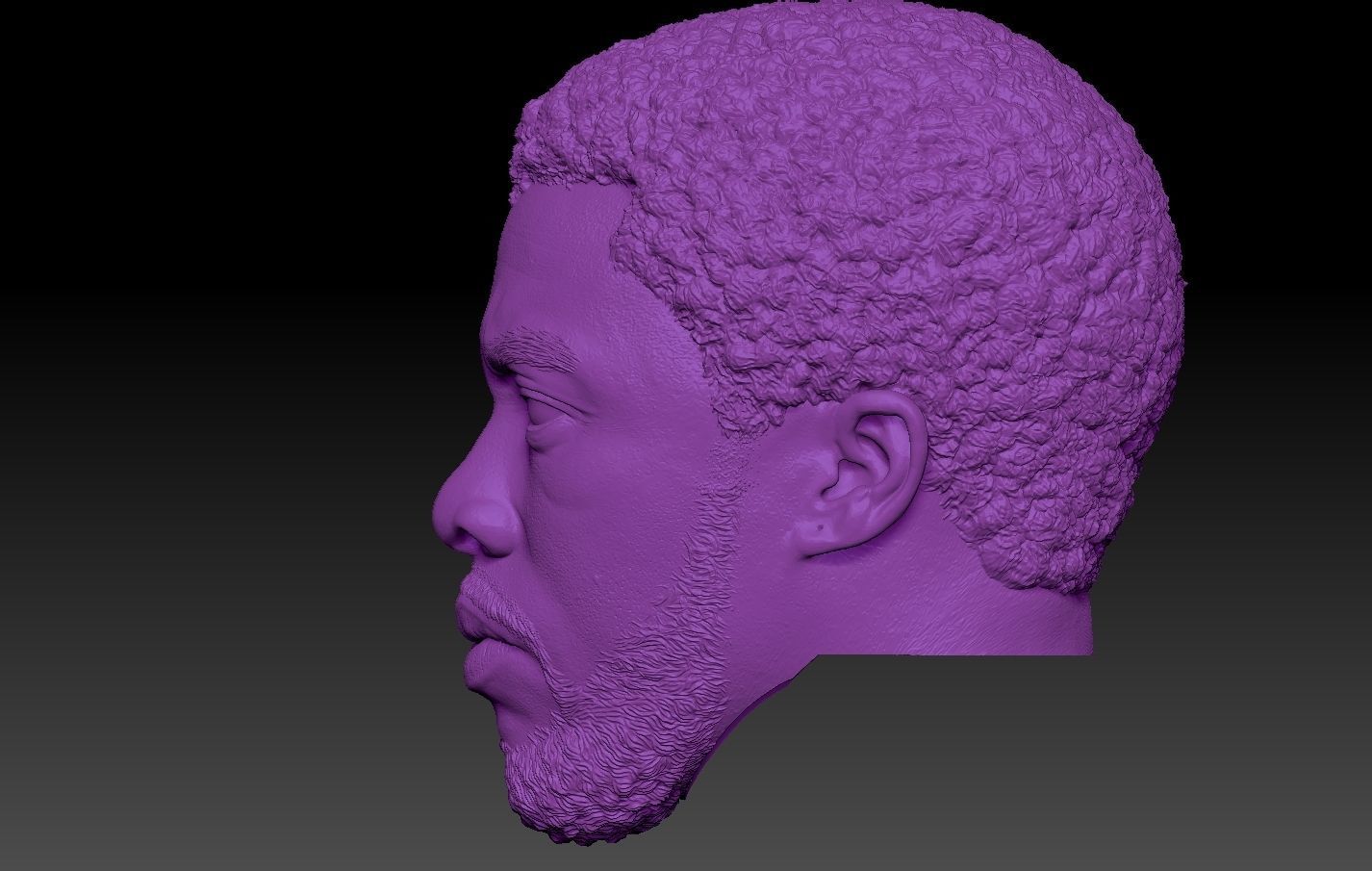 Black Panther TChalla Chadwick Boseman 3D print model_7