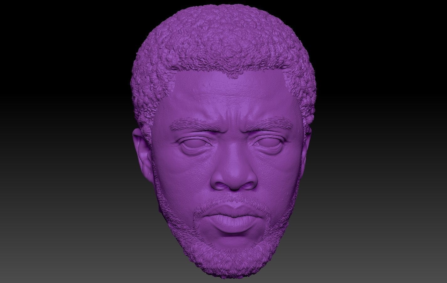 Black Panther TChalla Chadwick Boseman 3D print model_3