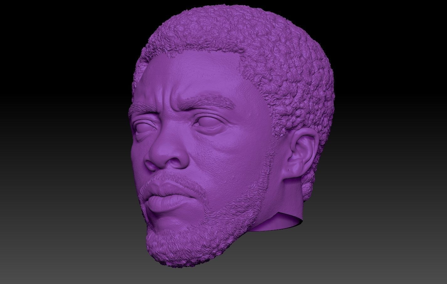 Black Panther TChalla Chadwick Boseman 3D print model_5