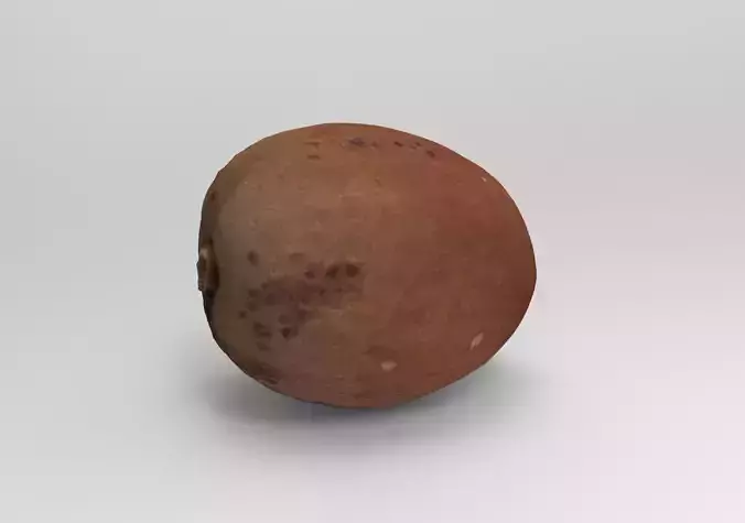 Mammee Apple - Mamey