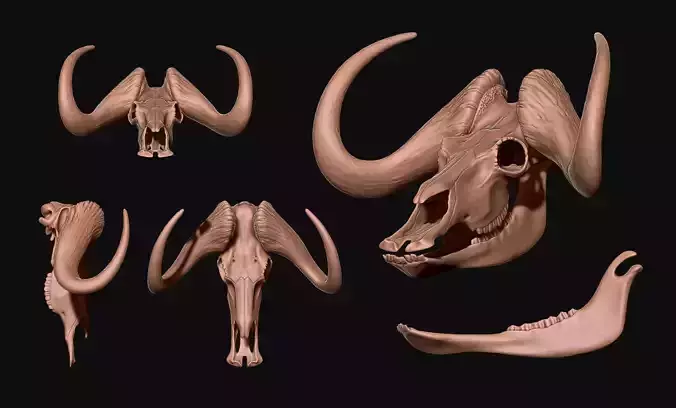 Black Wildebeest Skull - CNC and 3D print model