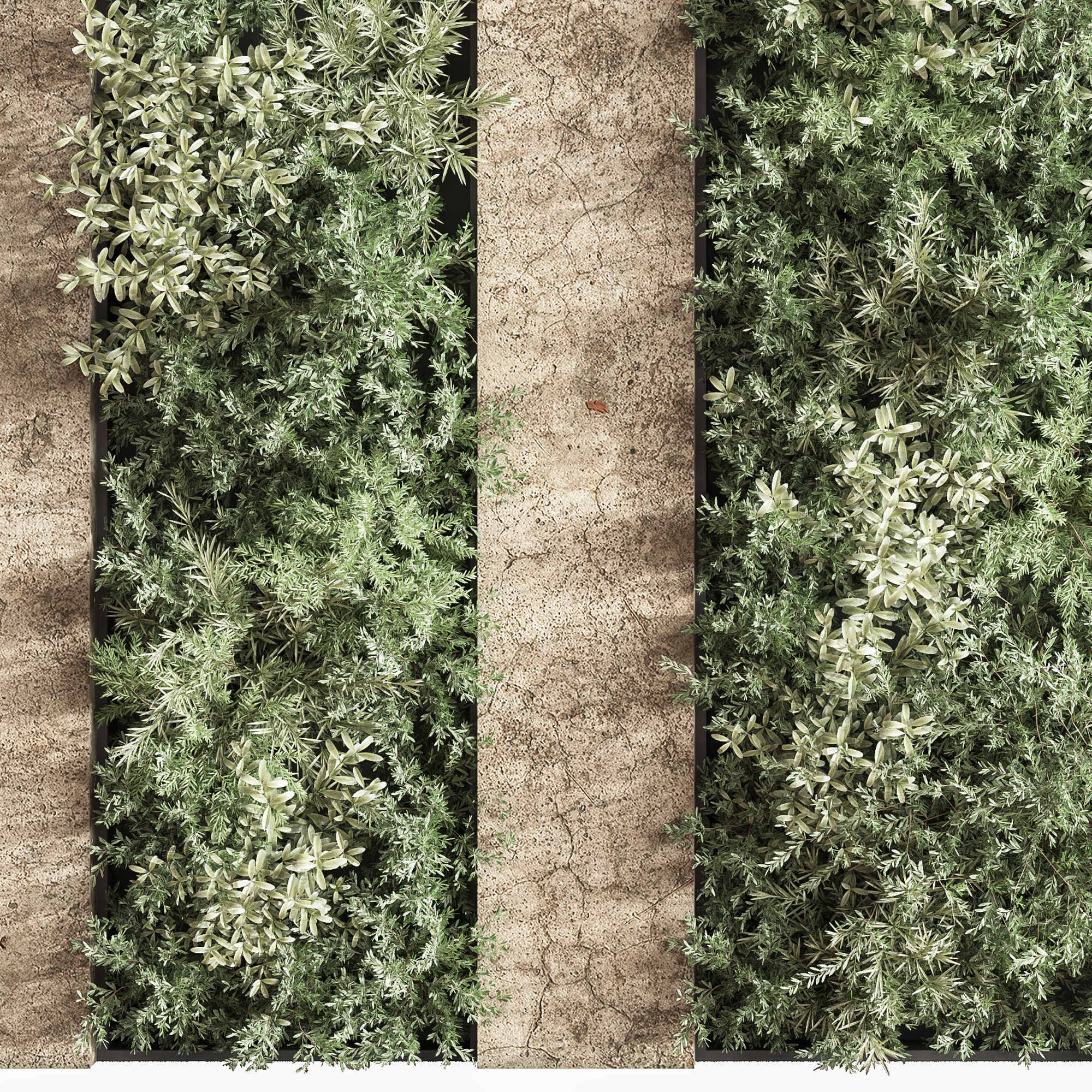 Concrete and vertical garden 04 3D model_4