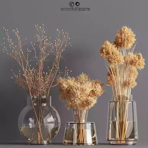 Collaction Plants Bouquet 03