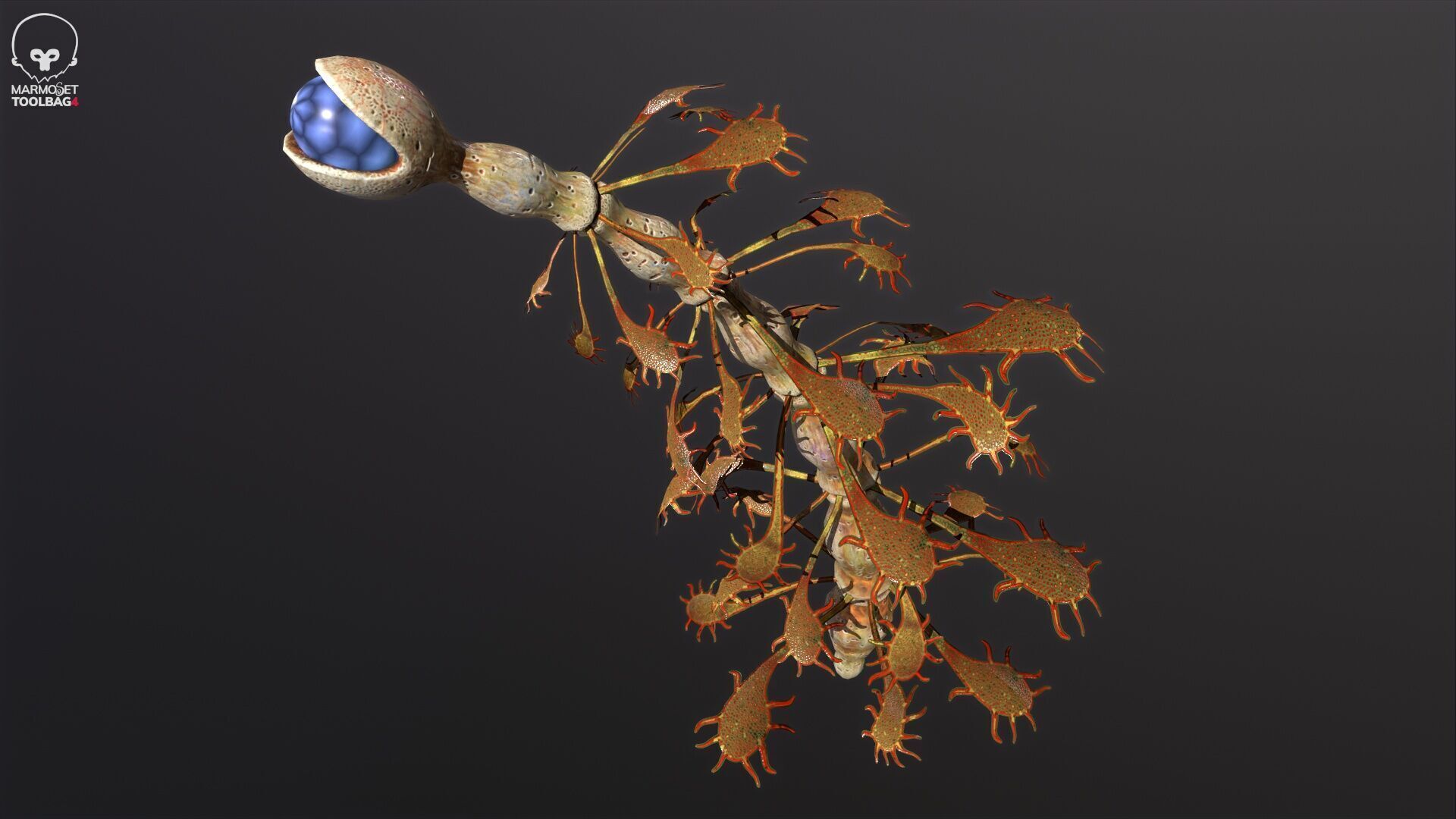 Alien flora - plant 35 Low-poly 3D model_5