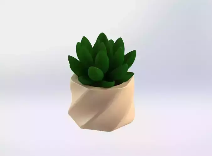 Auger Succulent Planter 