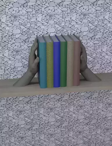 Shelf Book Holder