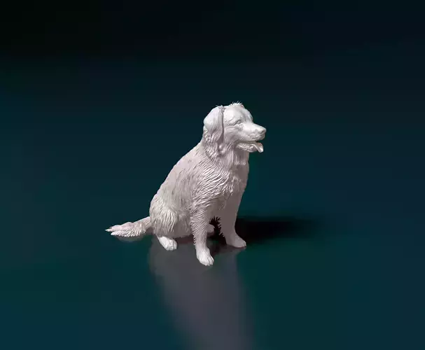 Stabyhoun 3D print model
