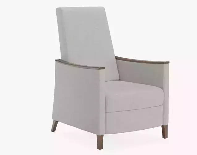 Modern Upholstered Arm Lounge Chair