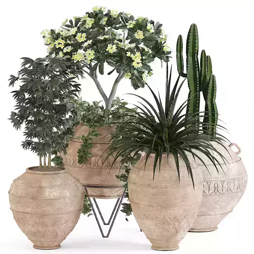 Indoor Plant Set 02