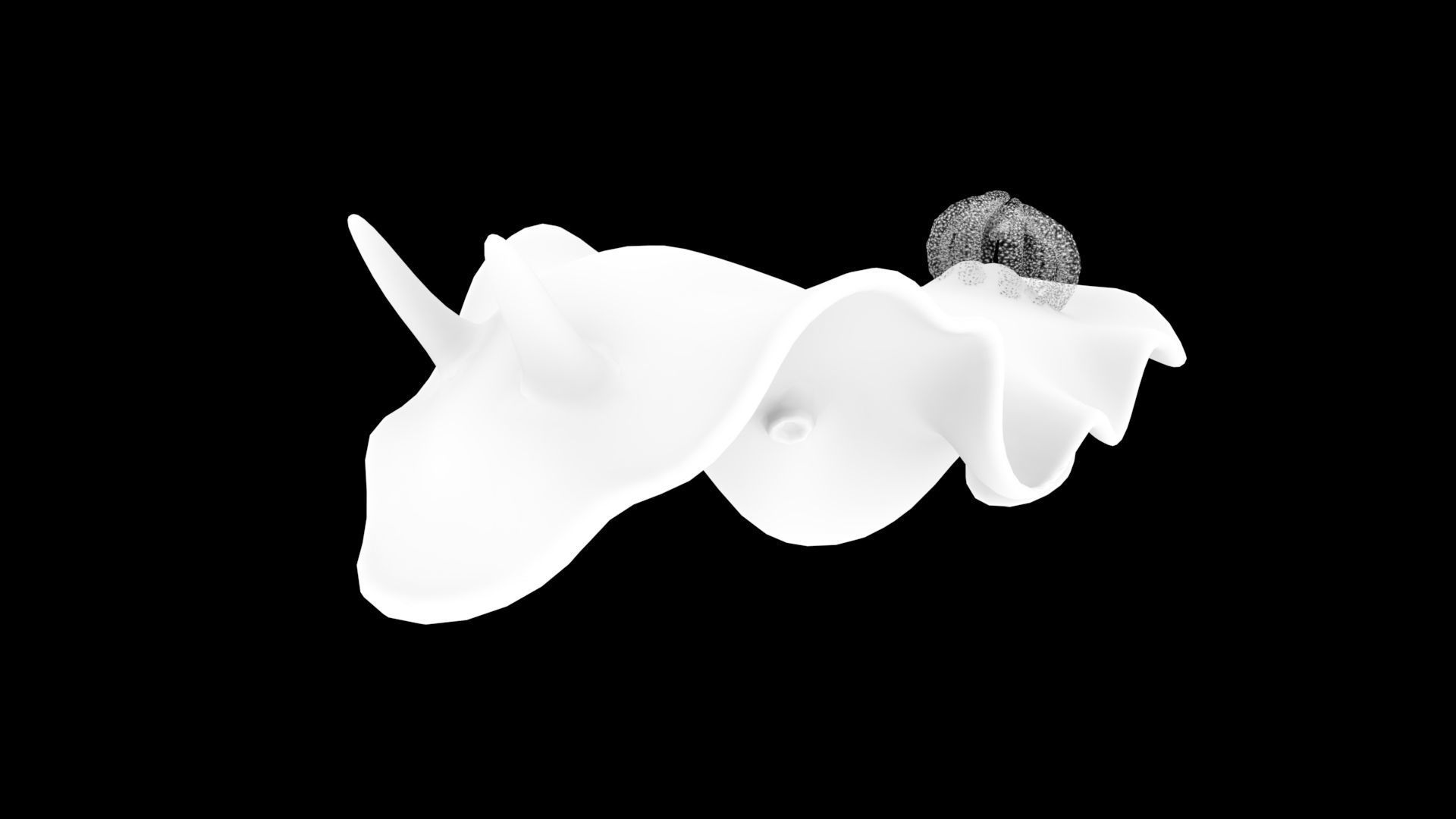 Aqua marine Sea Creature 3D model_1