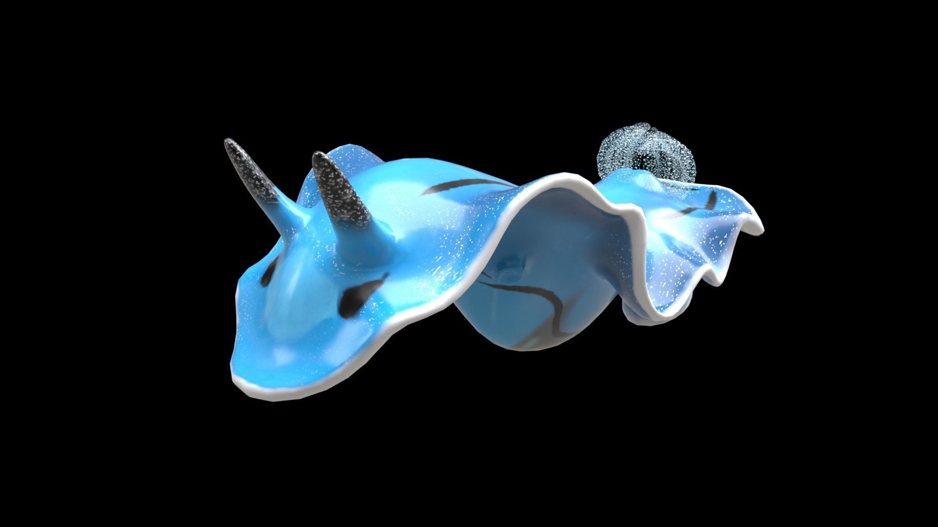 Aqua marine Sea Creature 3D model_6