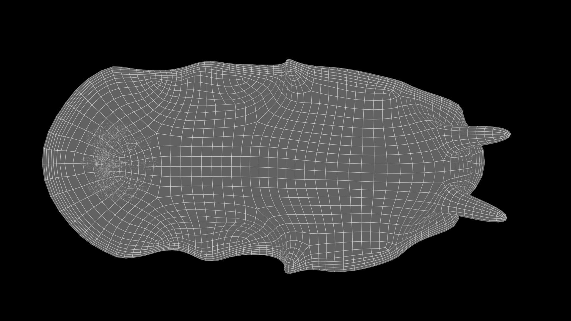 Aqua marine Sea Creature 3D model_13