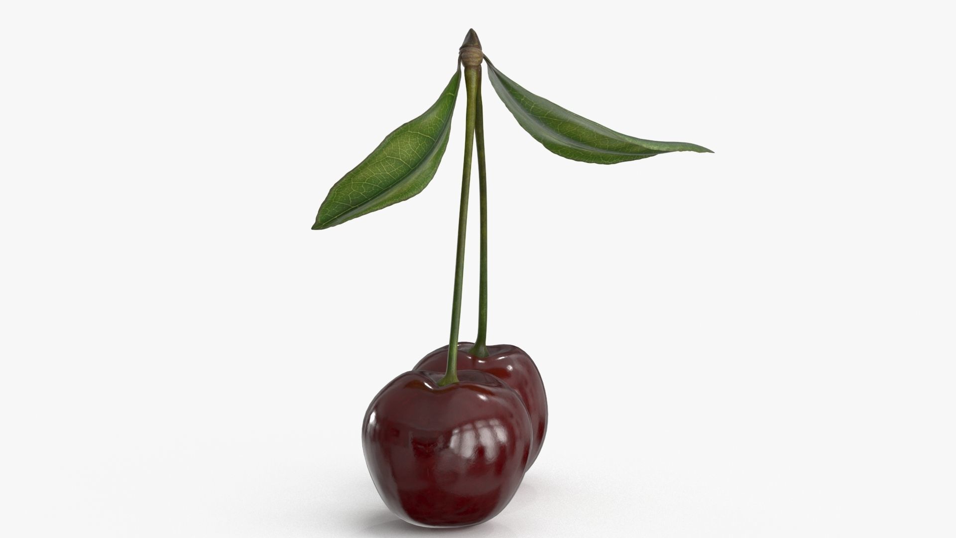 Cherry Collection _14