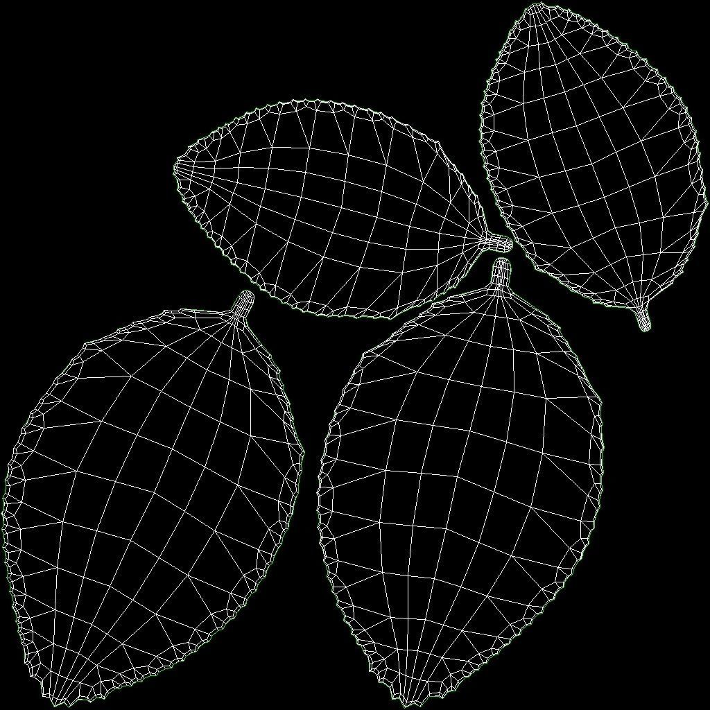 Cherry Collection _17