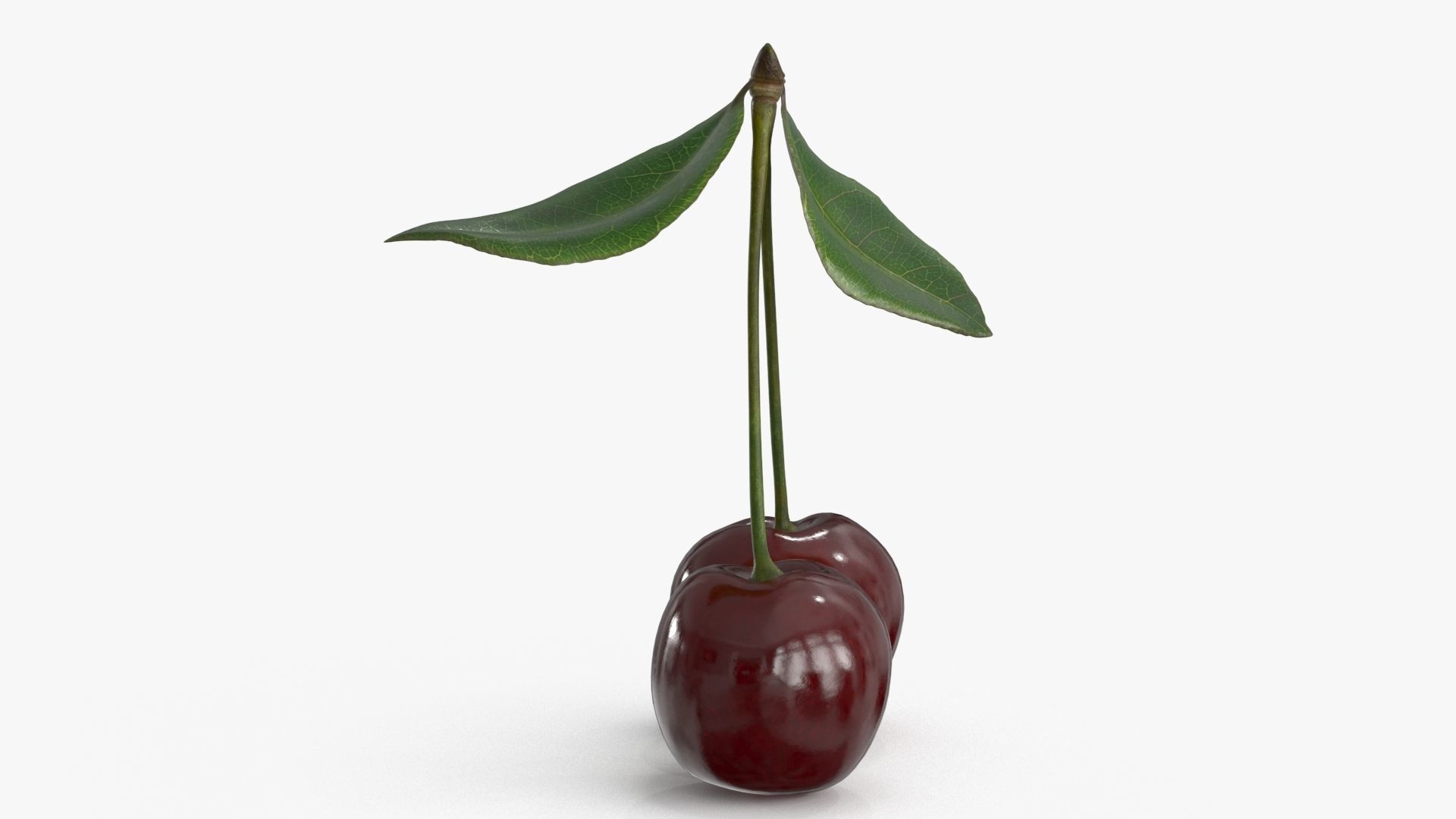 Cherry Collection _8