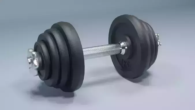 Dumbbell Realistic Free 3D model