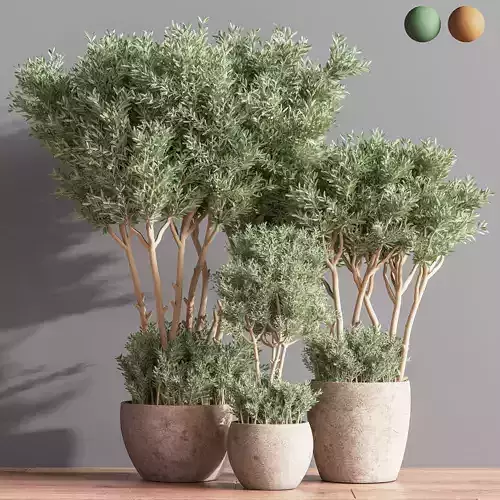 Indoor Plant Set 64