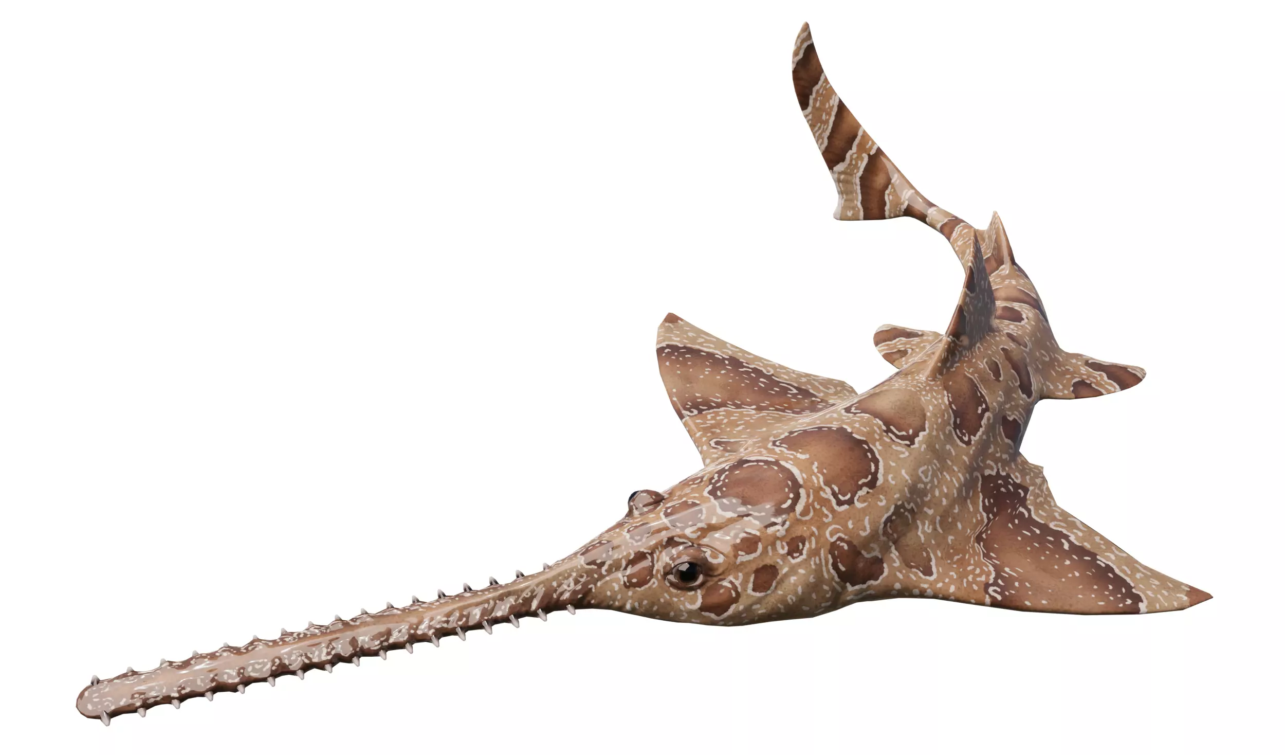 Onchopristis Asset Pack Low-poly 3D model