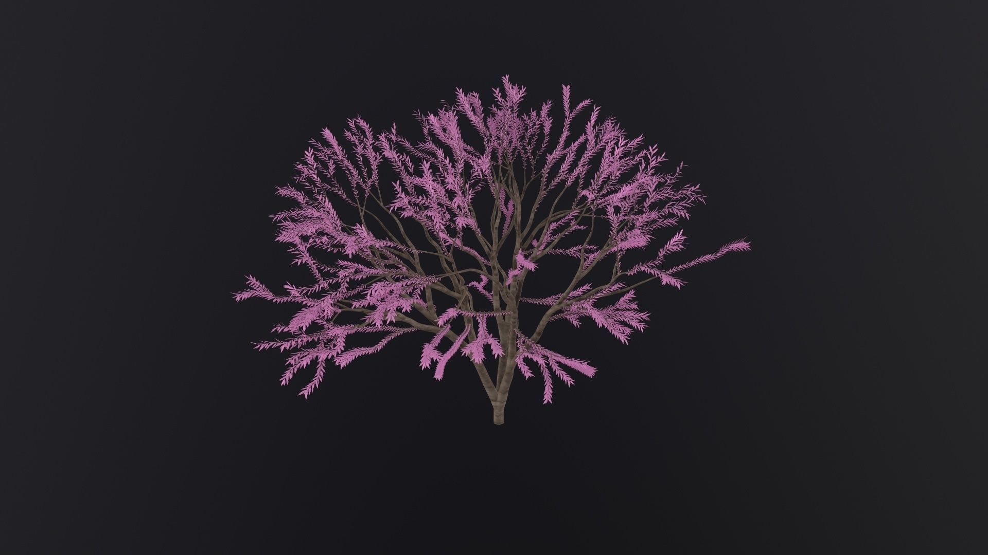 Sakura Tree 3D Model Low-poly 3D model_3