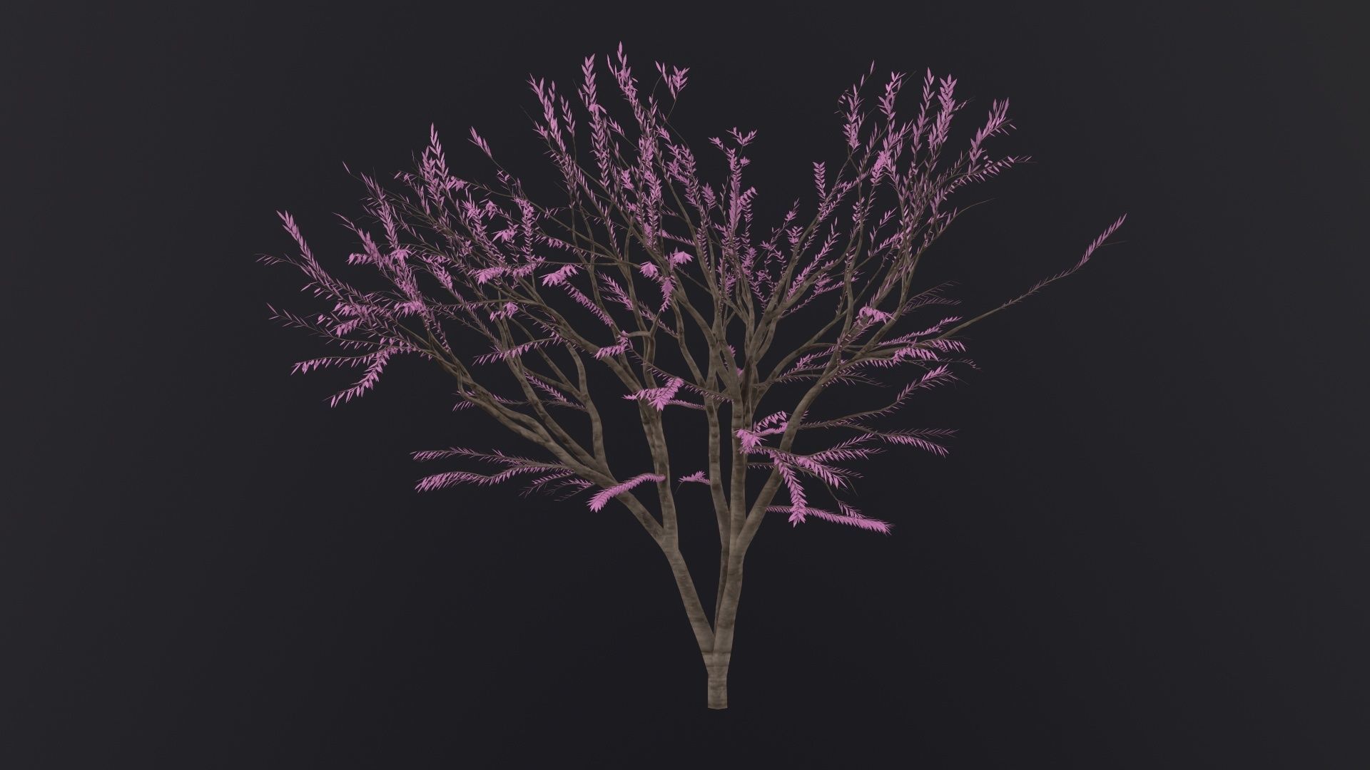 Sakura Tree 3D Model Low-poly 3D model_5