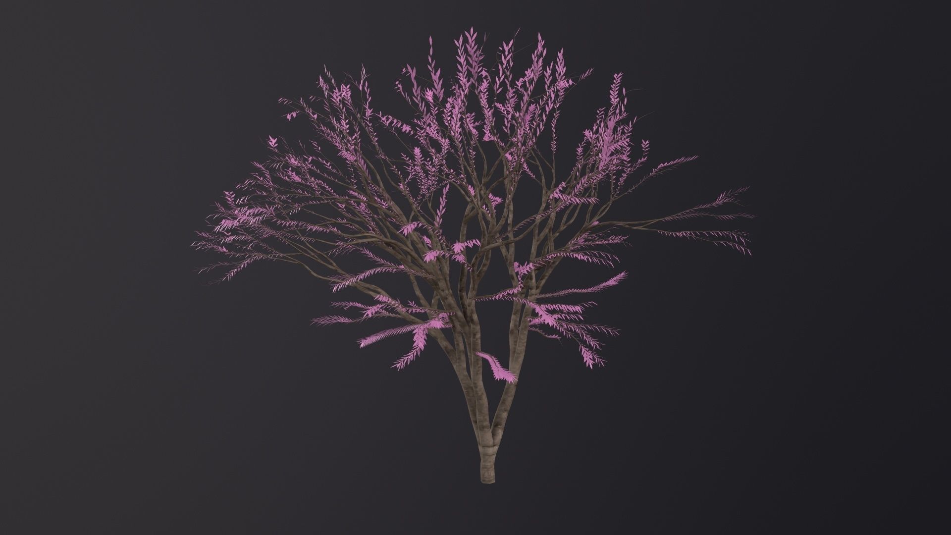 Sakura Tree 3D Model Low-poly 3D model_2