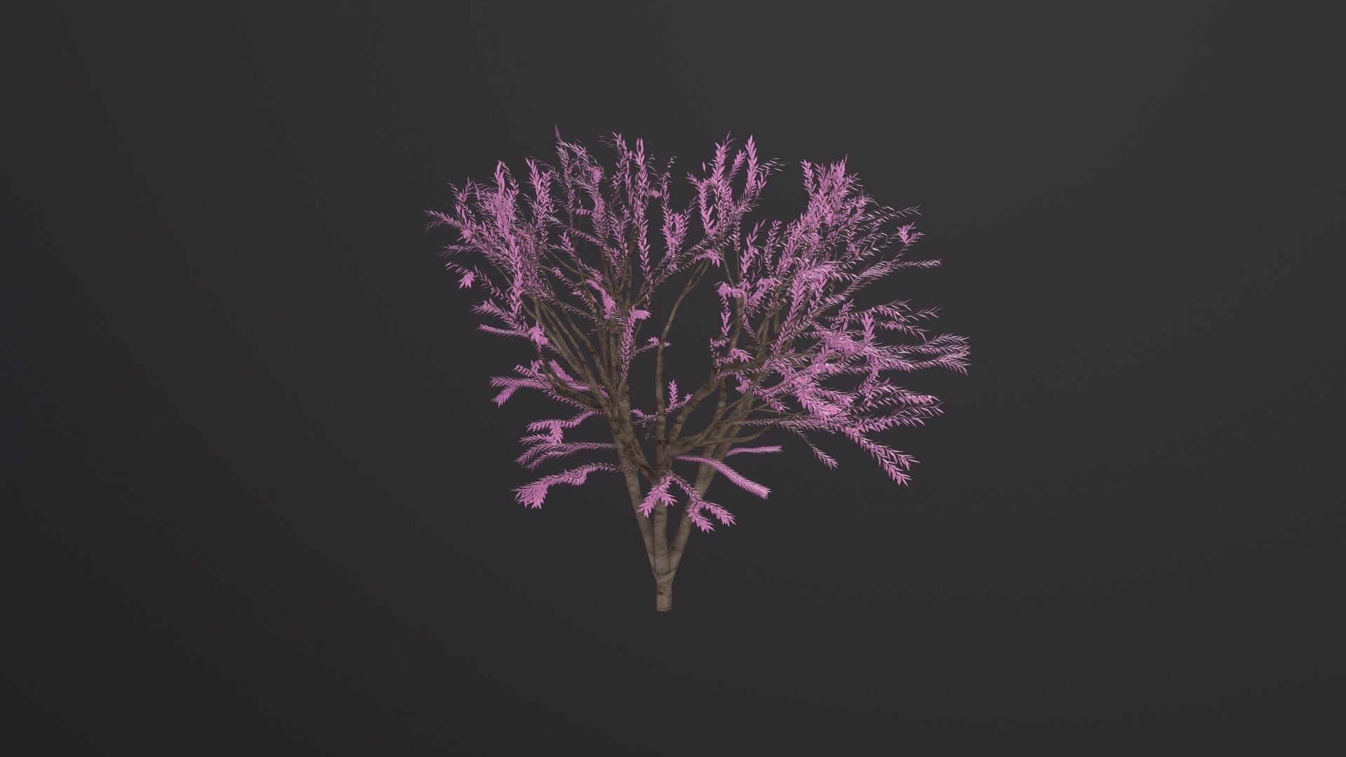 Sakura Tree 3D Model Low-poly 3D model_4