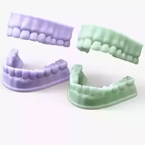 Dentures Mold