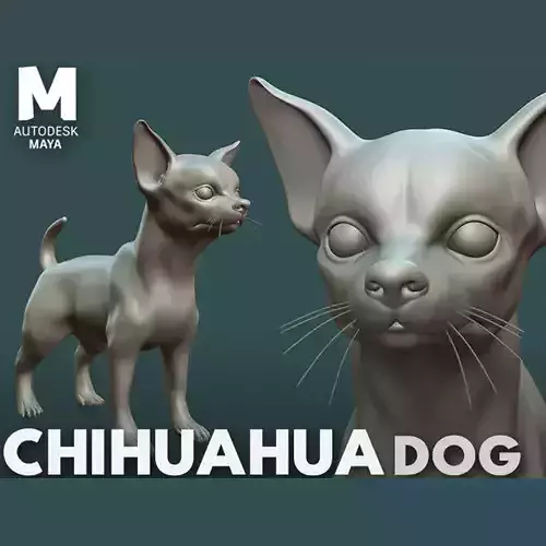 Chihuahua Dog  3D model