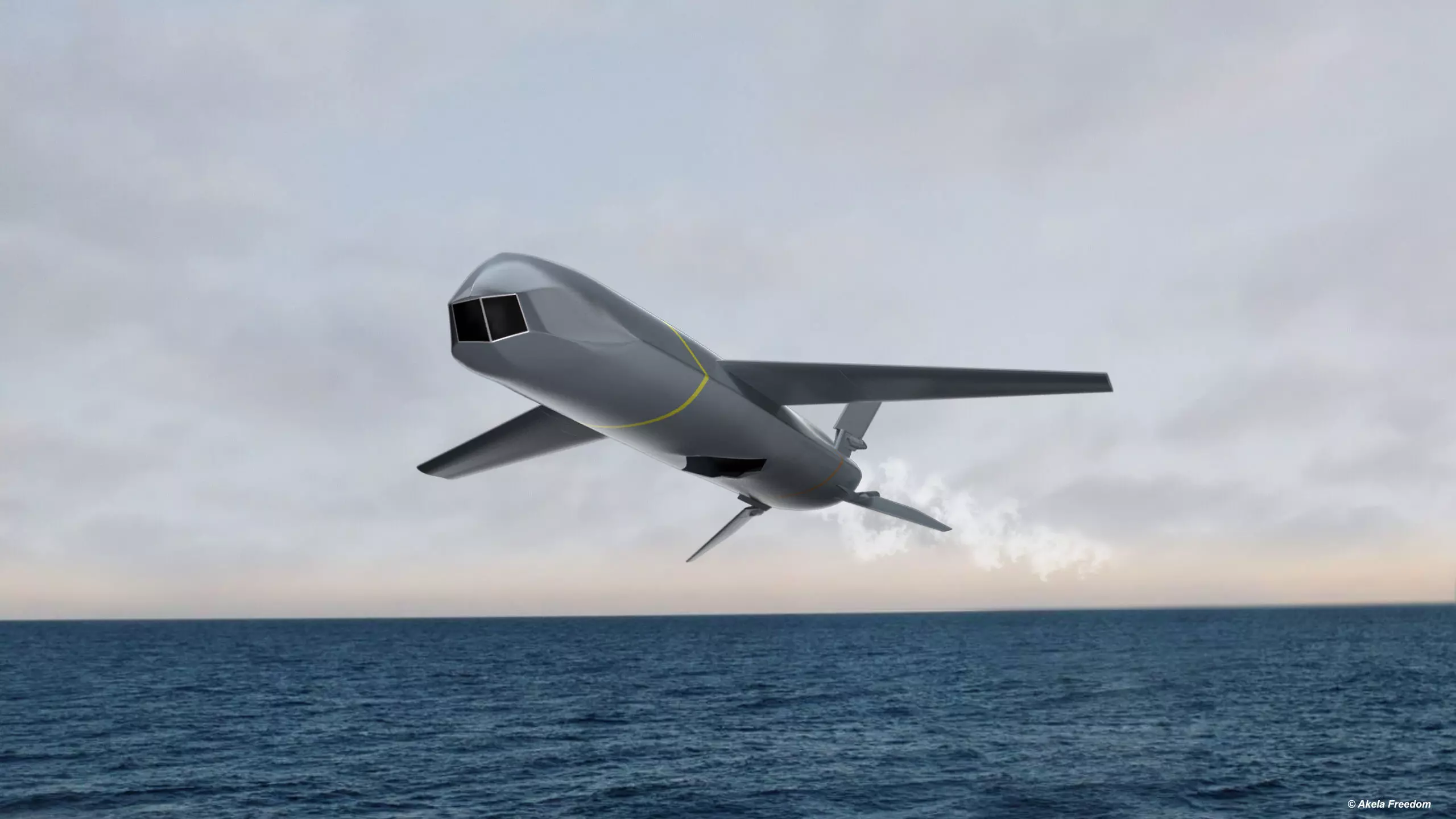 Kawasaki Anti-ship Missile 3D model_0